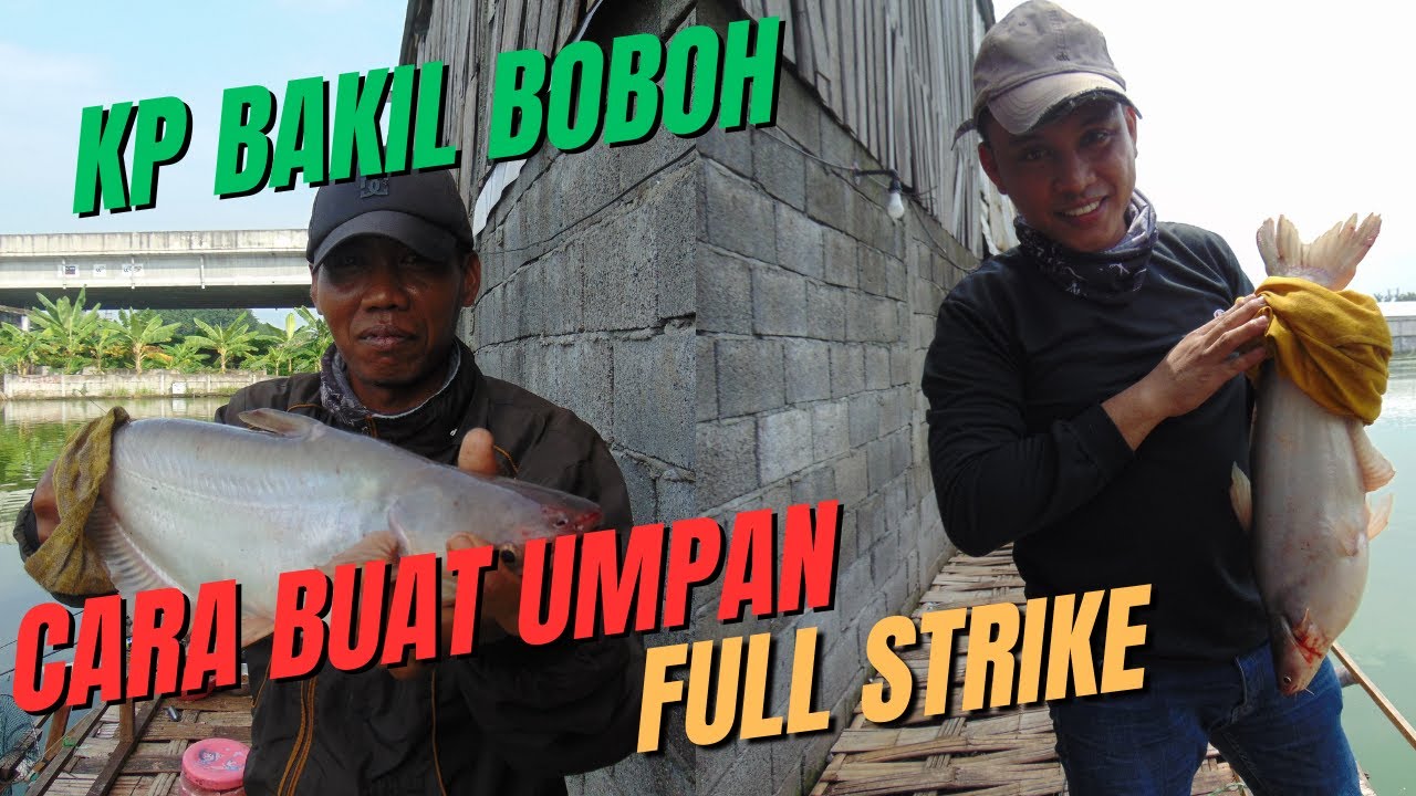 CARA MEMBUAT UMPAN PANCING DI KP BAKIL #mancingmania #mancingmaniaindonesia #mancing
