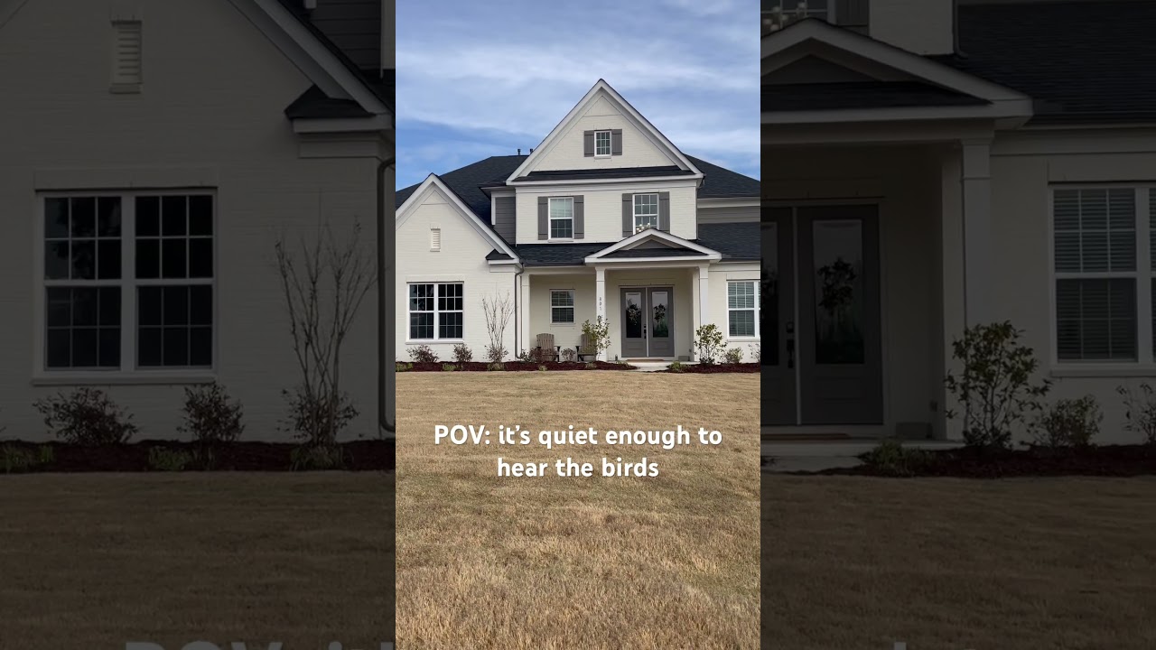 Appreciating a beautifulday & taking a moment to listen to the birds ❤️ 