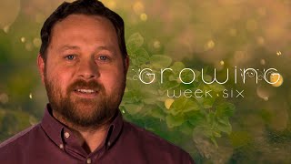 GROWING | A New Sermon Series | Week 6 by First Methodist Church Jonesboro 63 views 1 year ago 1 minute, 47 seconds