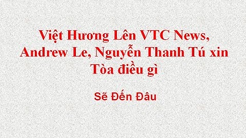 Việt Hương Lên VTC News, Andrew Le, Nguyễn Thanh Tú xin Tòa điều gì