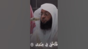 #بدر_التركي #قرآن #القران_الكريم #سبحان_الله #اللهم_صل_وسلم_وبارك_على_نبينا_محمد  #الحمدلله #تلاوات