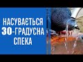 На Україну насувається 30-градусна спека - синоптик