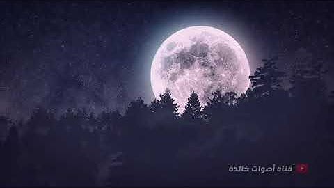 ما تيسر من الذكر الحكيم للقارئ الشيخ عبد الباسط رحمه الله