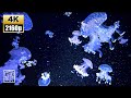 Beautiful💫Soothing Piano & Beach🌊sounds, 12HR/4K UHD, Cute swimming with Spotted Jelly🪼