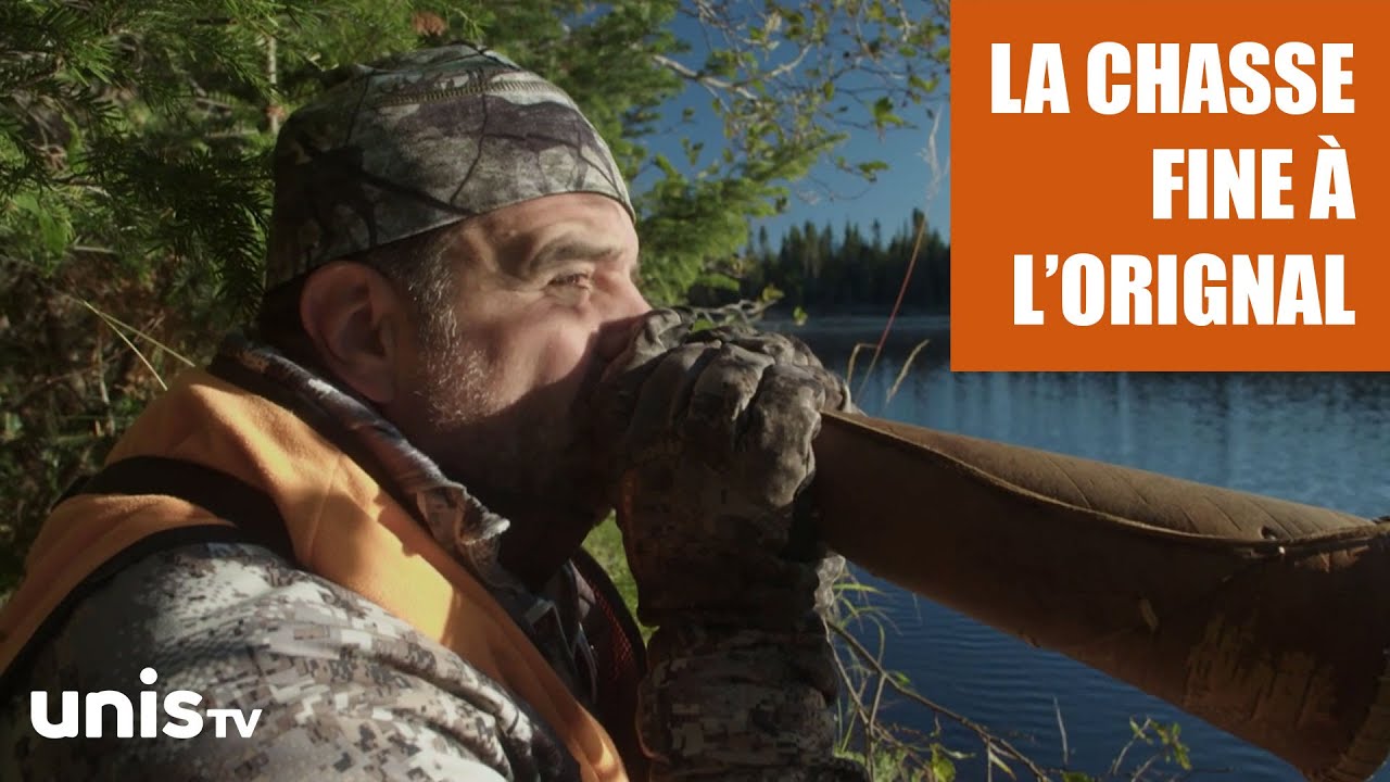 Les subtilités de la chasse fine à l'orignal