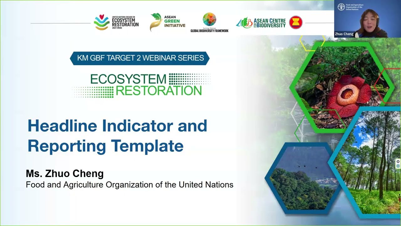 Session 1 Monitoring and Reporting of KM GBF Target 2 Understanding the Headline Indicator and the R