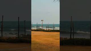  Weddings By The Waves At Palm Beach 