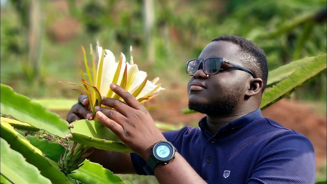 HOW TO HARVEST MONEY IN THIS 2026 FROM FARMING. 