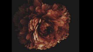Arcana - Amber