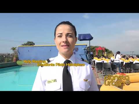 Wetlook flight attendants jump into pool drill