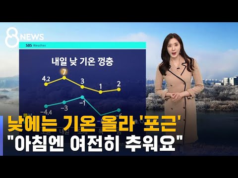 [날씨] 낮 기온 껑충, 비교적 포근…중부 곳곳 눈 · 비 / SBS 8뉴스