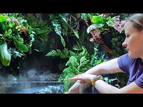 Красноушка тоже человек! Черепаший остров.