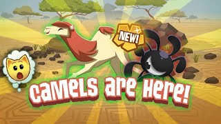 Ajpw - Camels Playing Phantom Portal