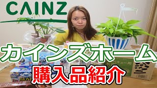 カインズホームで家庭菜園用品や観葉植物などを爆買いしたので購入品紹介します Youtube