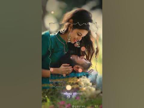 cg holi new song