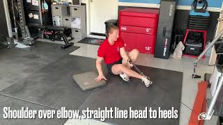 Side Plank Ts/Fly