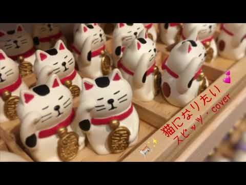 #猫になりたい ／ #スピッツ を歌ってみました〜！