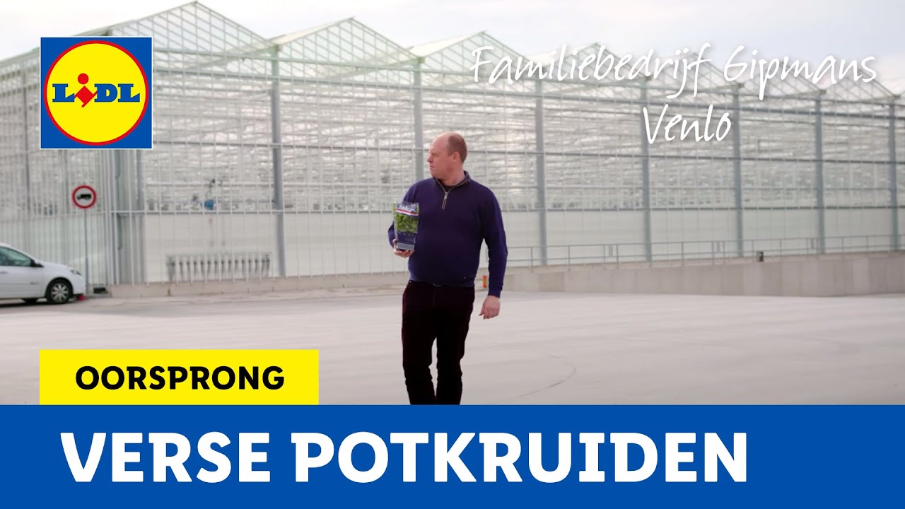 lidl song christy moore Oorsprong - Verse potkruiden