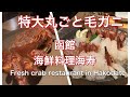 【函館グルメ旅行②】特大毛ガニが美味しい海鮮料理海寿/夫婦vlog