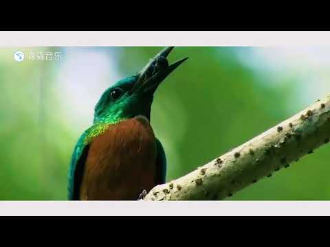 《一次離別》海來阿木（DJ 名龍版）
