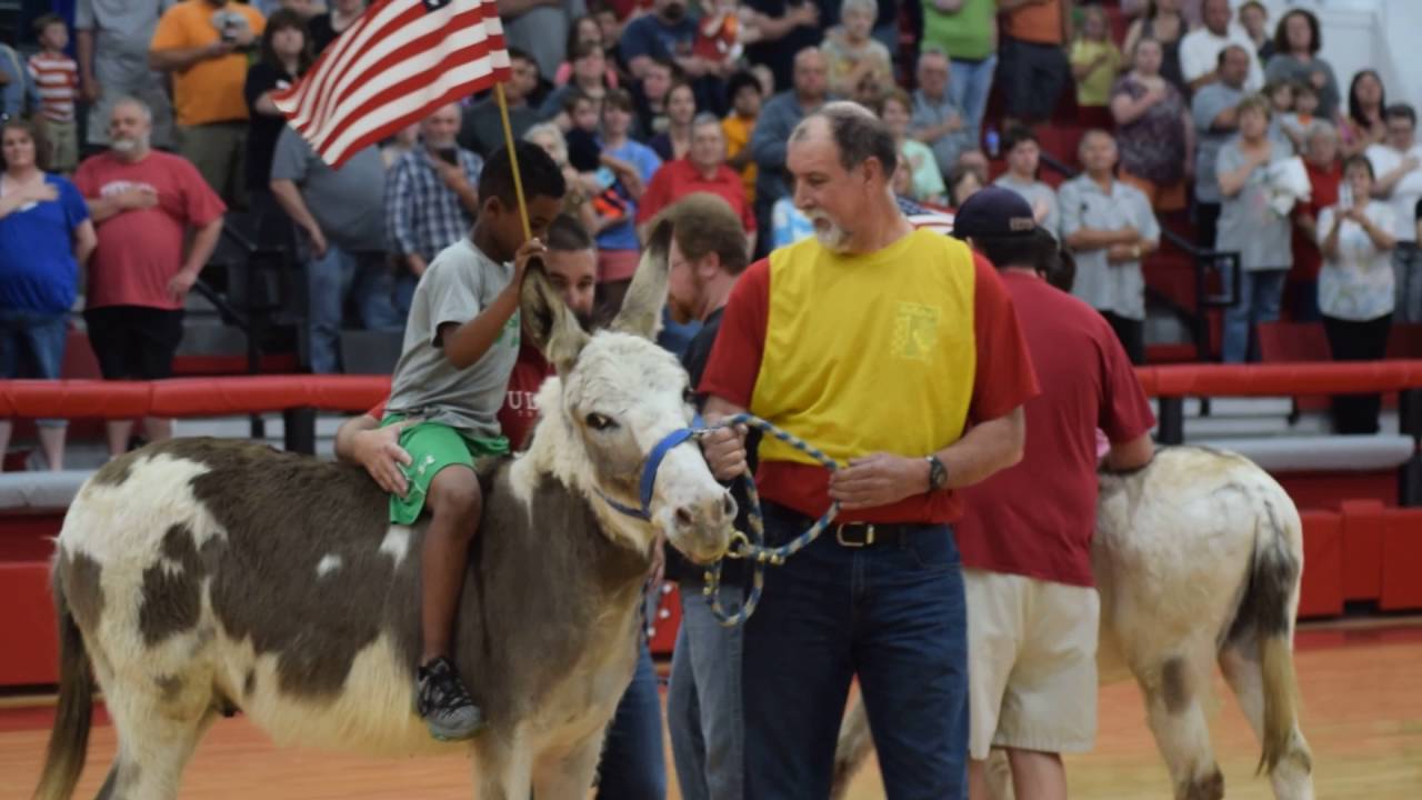 camera iphone 8 plus apk THS Donkey Basketball