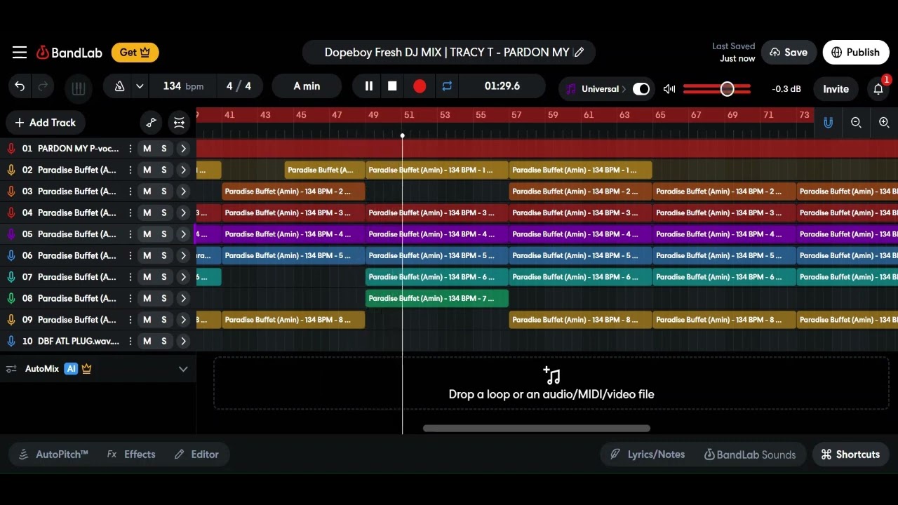 Dopeboy Fresh DJ MIX  TRACY T - PARDON MY P