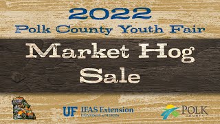 2022 Market Hog Sale - Polk County Youth Fair