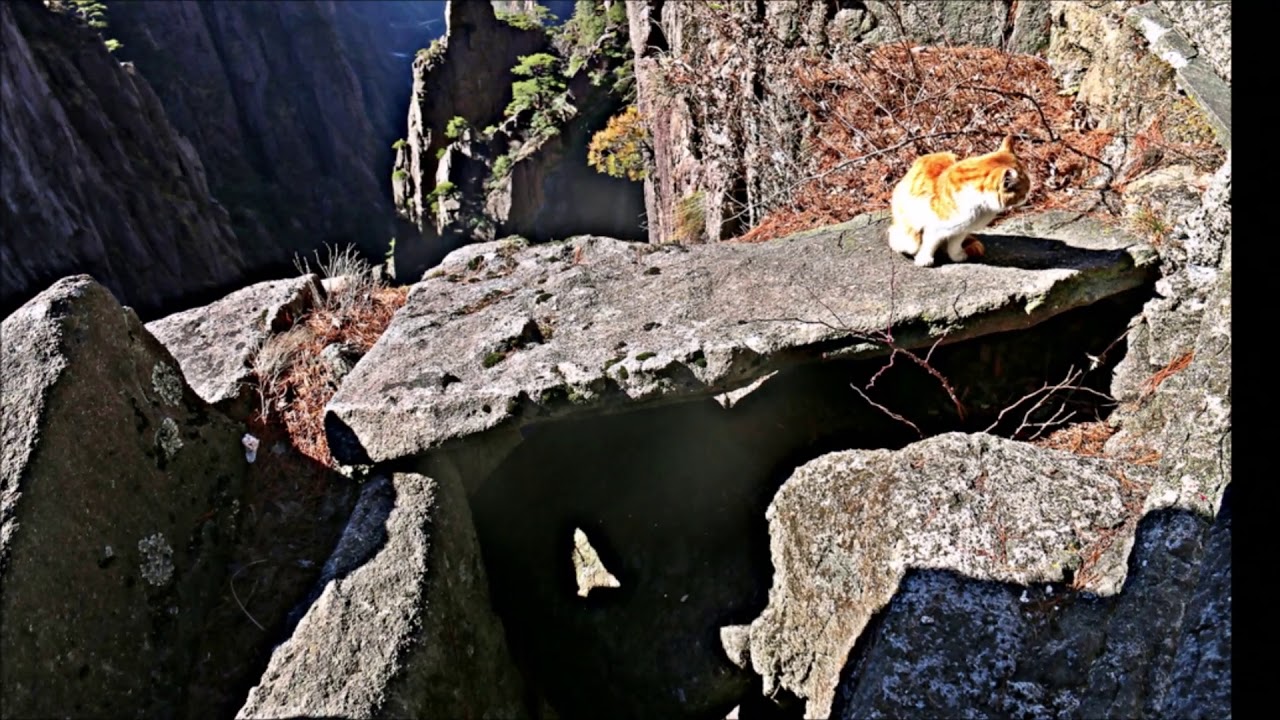 중국 안후이성의 황산 72봉