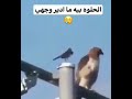 احلى فيديو شفته حزين جدا