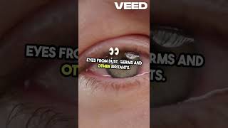 The Ultimate Guide to Conjunctiva Explained! #eyecare #eyes #medicalscience #eyeanatomy  #anatomy