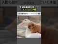人も動物も同じだ。