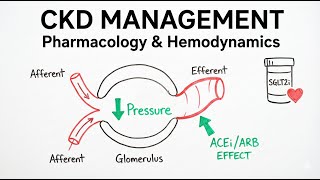 Can You Reverse CKD What The Latest Guidelines Say About Dapagliflozin & Empagliflozin