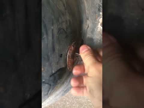 How To Check And Fill Differential Fluid