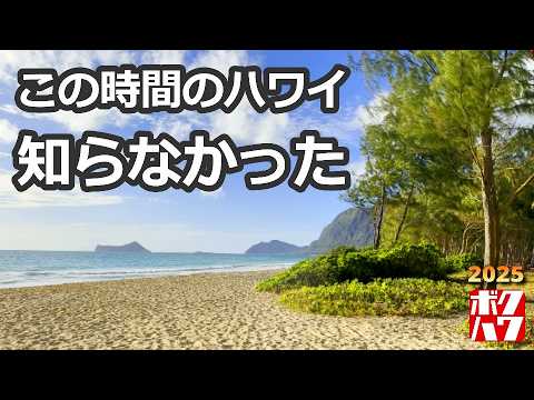Hawaii] You're Missing Out If You Don't Know the 