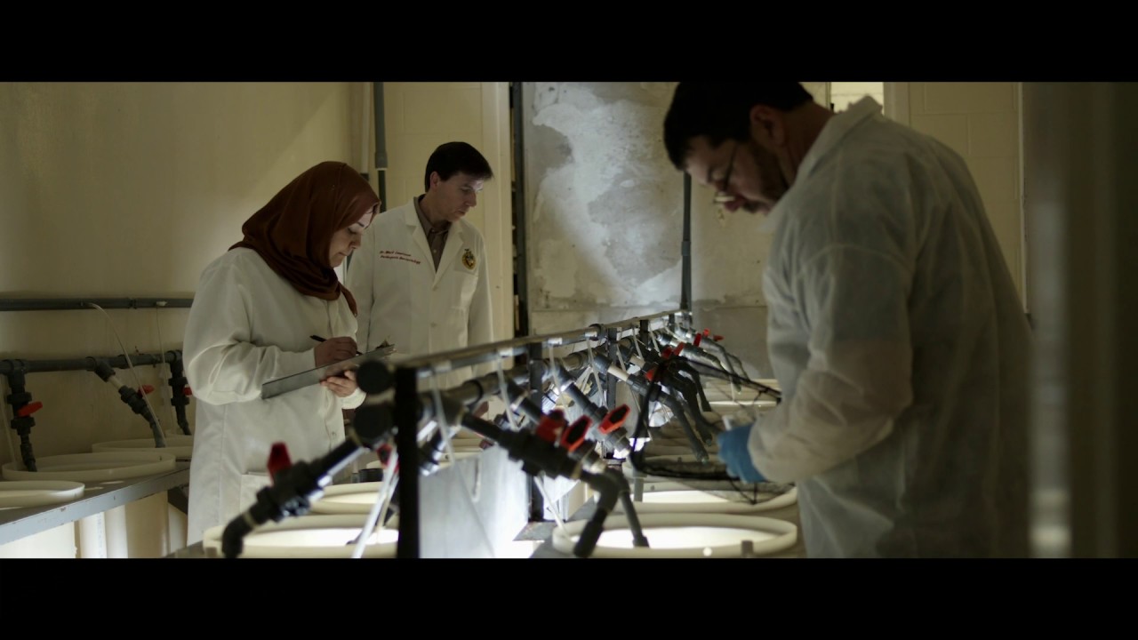 Mississippi State University | Fish Innovation Lab