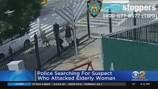 Police Searching For Suspect Who Attacked Elderly Woman In Brooklyn