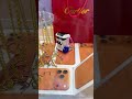 Hook Claw Machine Challenge:Luck Catch! - Ep 131 #clawmachine #arcade #prize