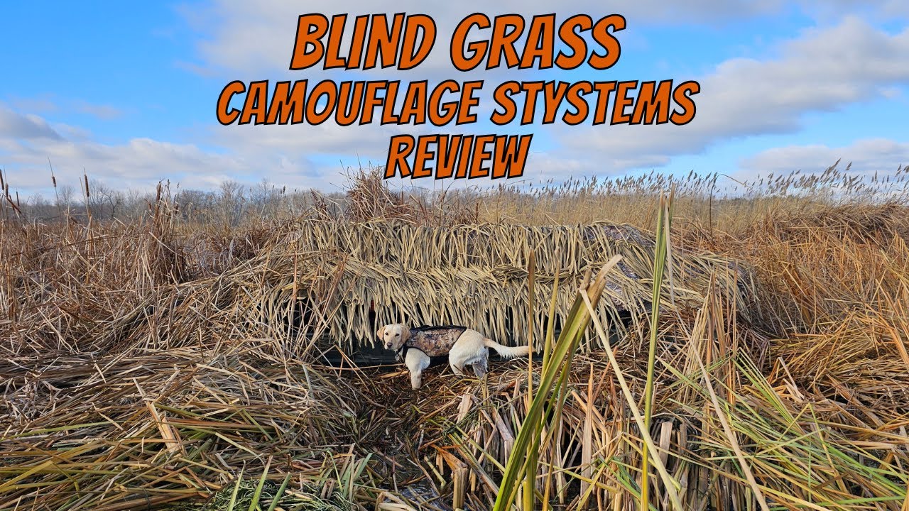BlindGrass Review
