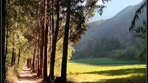 تلاوة من سورة الملك - بصوت عذب