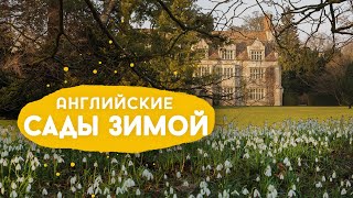 видео: Поместье Angelsey Abbey, подснежники и зимний сад. картинка: Поместье Angelsey Abbey, подснежники и зимний сад.