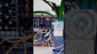 Pocket Scion and Eurorack #instruo #pocketscion #eurorack #exploresound