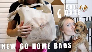 GOLDENDOODLE BREEDER VLOG | MINI GOLDENDOODLE LITTER UPDATES AND PACK GO HOME BAGS WITH ME