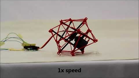 Bio inspired Tensegrity Soft Modular Robots
