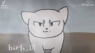 random animation practice