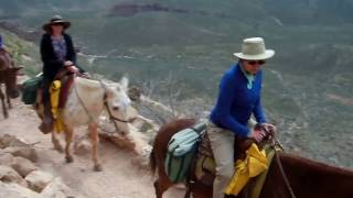 Grand Canyon Mule Ride from Phantom Ranch via Kaibab Trail, 04.11.17