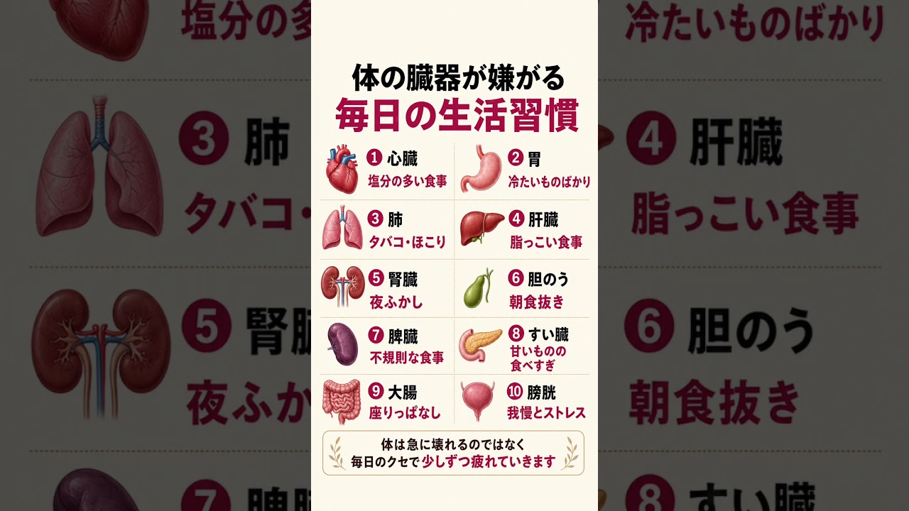 体の臓器が嫌がる毎日の生活習慣10選