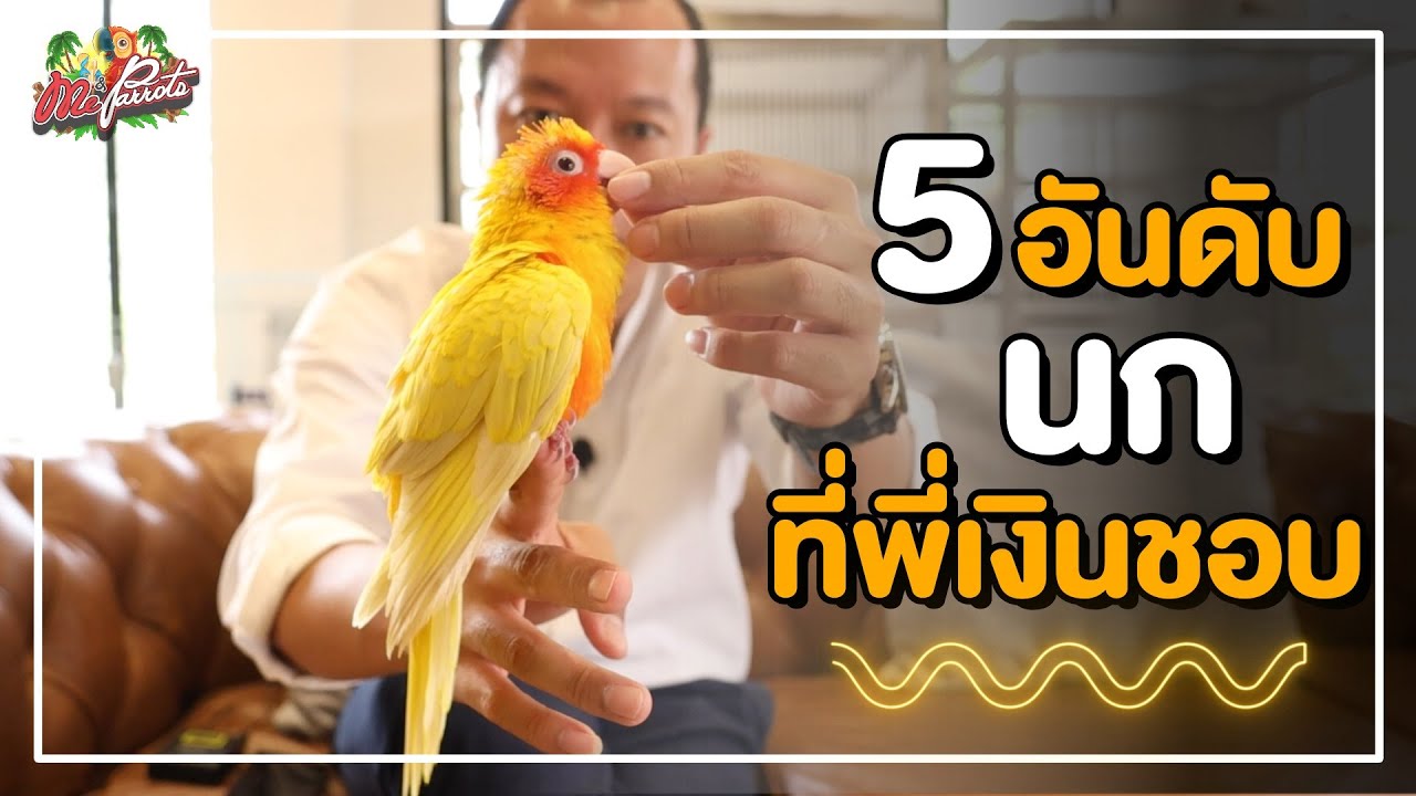 5 อันดับนกที่พี่เงินชอบ