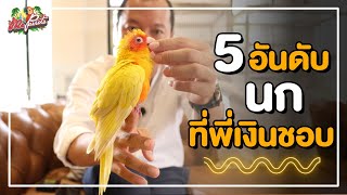 5 อันดับนกที่พี่เงินชอบ