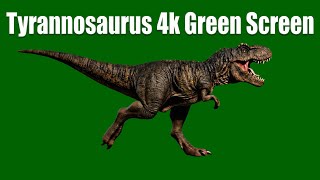 Tyrannosaurus 4K Green Screen Ultra Realistic T-Rex Animation Greenx Ai