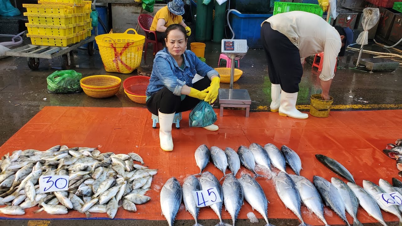 Chợ đầu mối bình điền rằm tháng giêng quá dắng vể cô khách mua hết cá trê đi phóng sanh giá 35k 